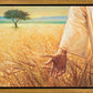 Wheat and Tares