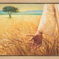 Wheat and Tares