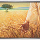 Wheat and Tares