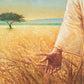 Wheat and Tares