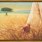 Wheat and Tares