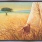 Wheat and Tares