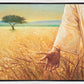 Wheat and Tares