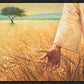 Wheat and Tares
