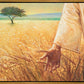Wheat and Tares