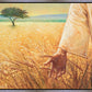 Wheat and Tares