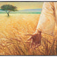 Wheat and Tares