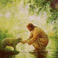 Gentle Shepherd