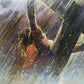 Crucifixion