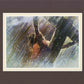 Crucifixion