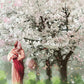 Heavenly Blossoms
