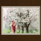 Heavenly Blossoms