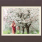 Heavenly Blossoms