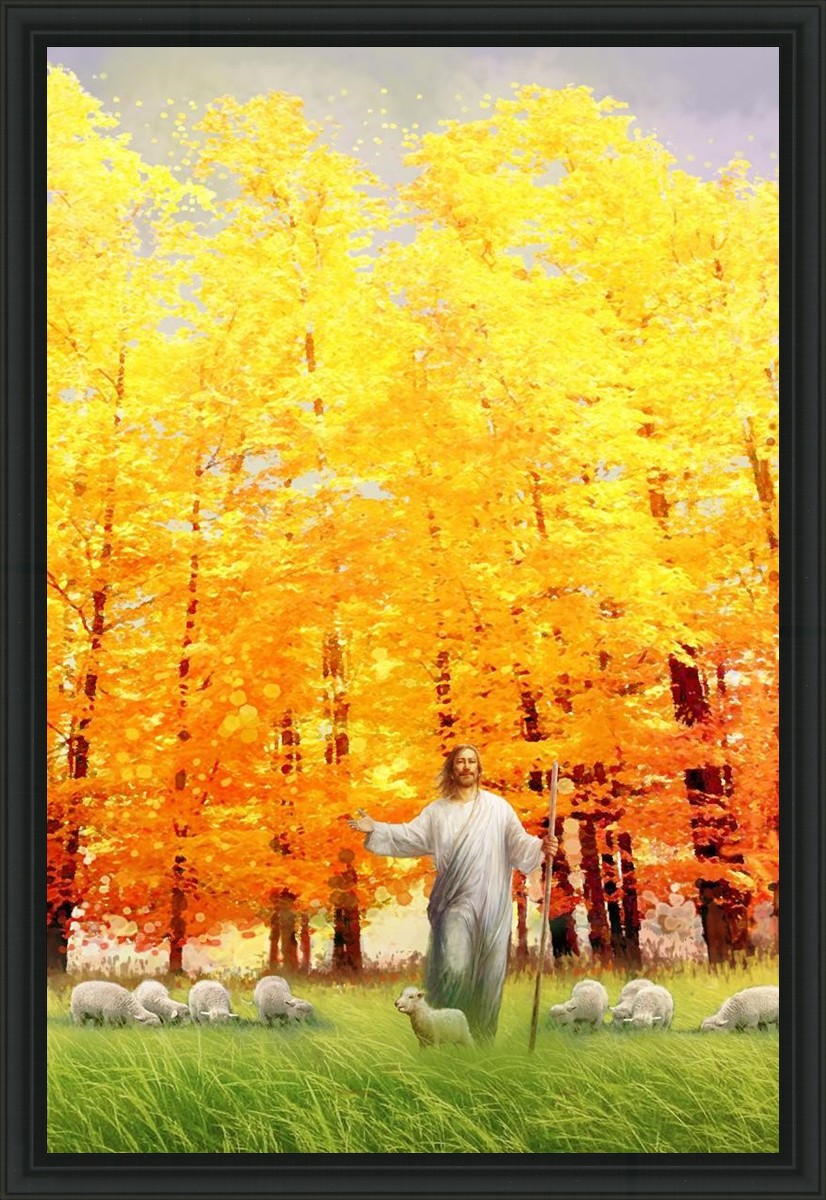 Autumn Breeze