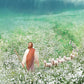 Guiding Them Home