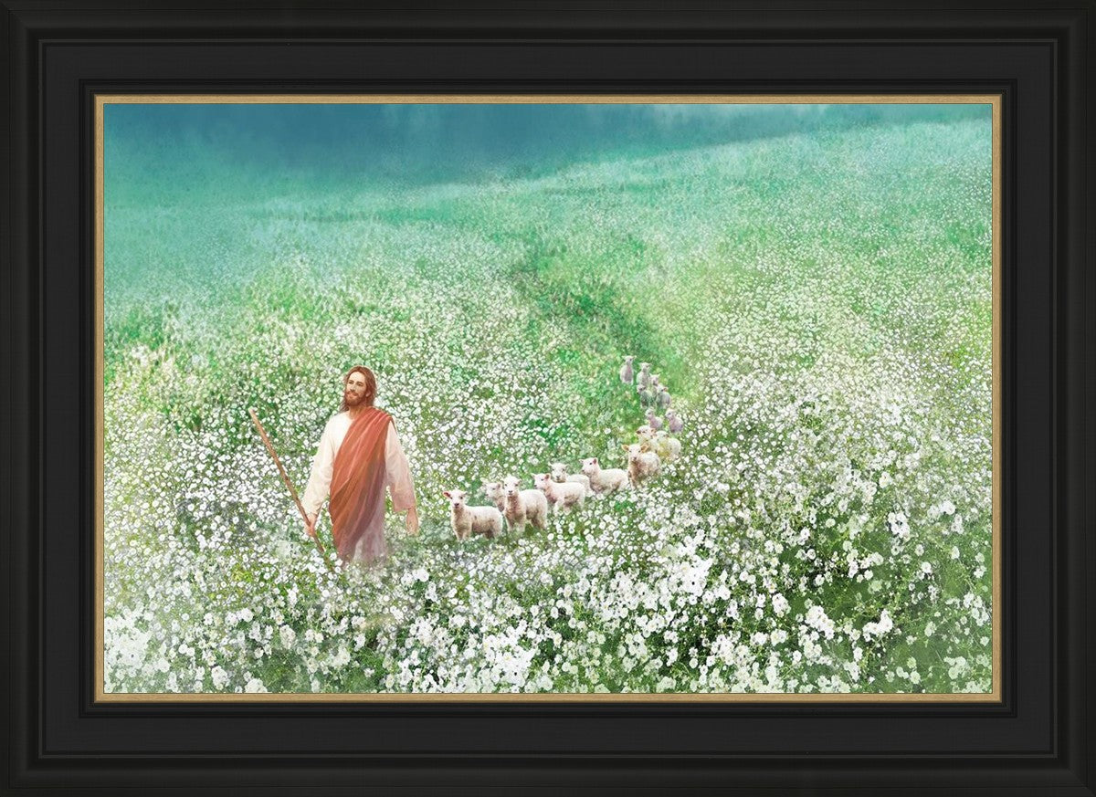 Guiding Them Home