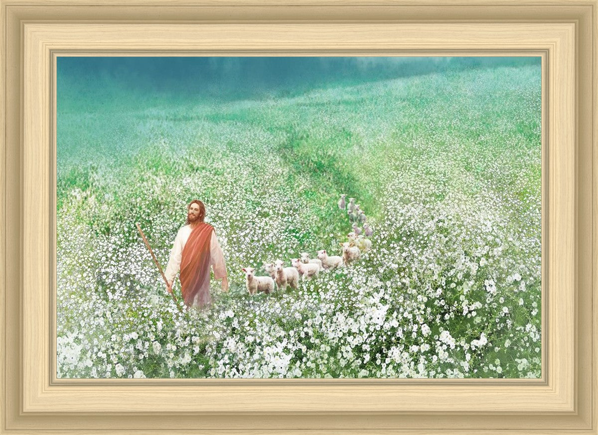 Guiding Them Home