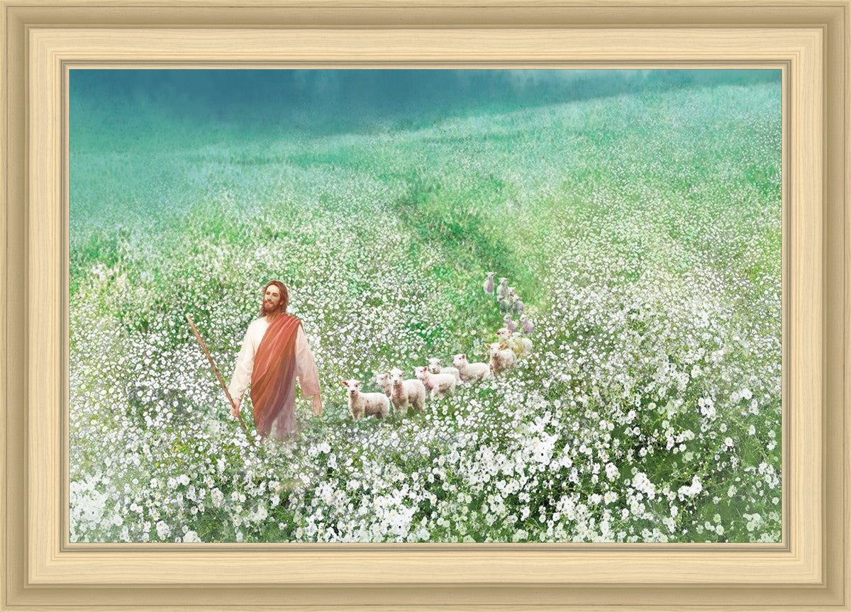Guiding Them Home