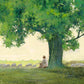 Morning Solace