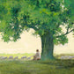 Morning Solace