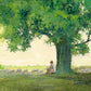 Morning Solace