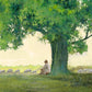 Morning Solace