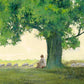 Morning Solace