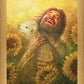 Seeds of Joy