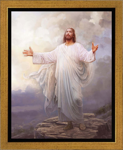 For This Purpose I Have Come