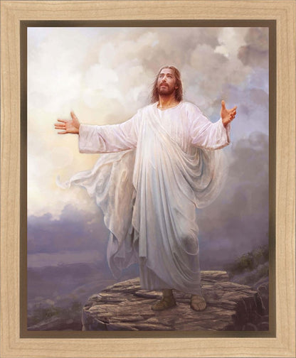 For This Purpose I Have Come