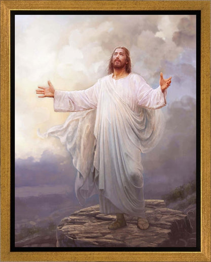 For This Purpose I Have Come