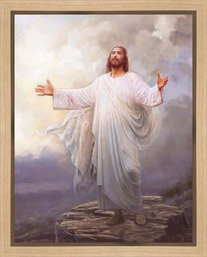 For This Purpose I Have Come