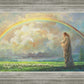 After the Storm