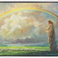 After the Storm
