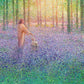 Walk With Me
