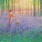 Walk With Me