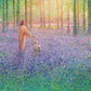 Walk With Me