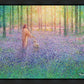 Walk With Me