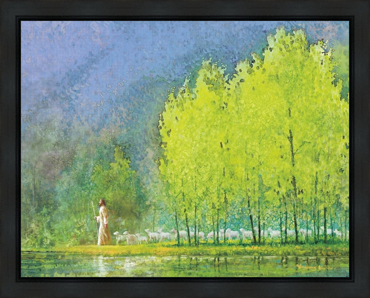 Moment of Peace