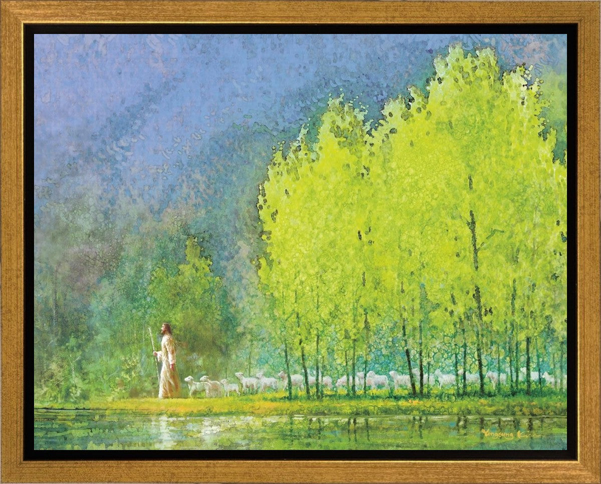 Moment of Peace