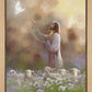 Prince of Peace