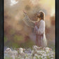 Prince of Peace
