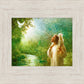 The Grace of God