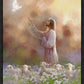Prince of Peace