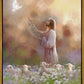 Prince of Peace