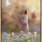 Prince of Peace