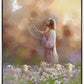Prince of Peace