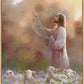 Prince of Peace