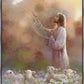 Prince of Peace