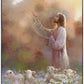 Prince of Peace